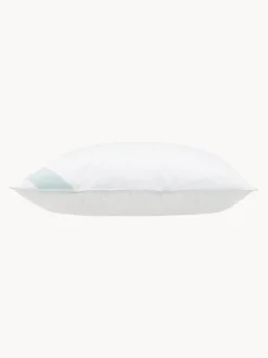 Almohada de plumas Standard, firmeza media