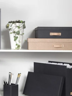 Caja Oskar