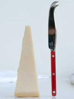 Cuchillo de queso de acero inoxidable Bistrot