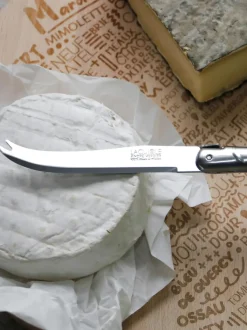 Cuchillos de queso Debutant Inox, 2 uds.