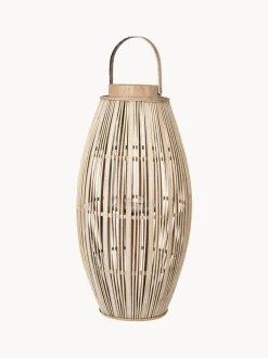 Farolillo Aleta, 63 cm