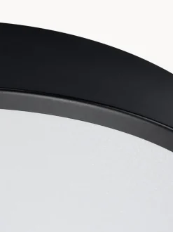 Foco LED de techo Franco, tamaños diferentes