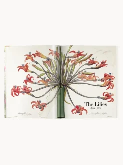 Libro ilustrado Book of Flowers