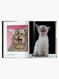 Libro ilustrado Cats. Photographs 1942–2018