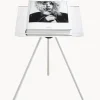 Libro ilustrado David Bailey