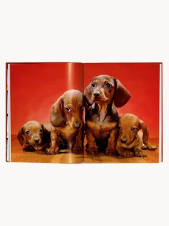 Libro ilustrado Dogs. Photographs 1941–1991
