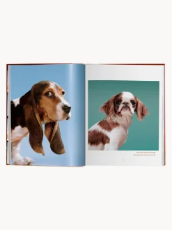 Libro ilustrado Dogs. Photographs 1941–1991