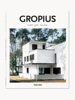 Libro ilustrado Gropius