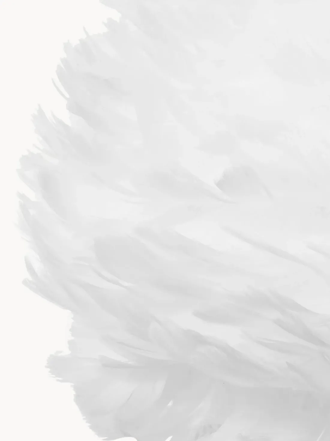 Lámpara de techo de plumas Eos