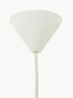 Lámpara de techo de plumas Eos