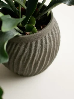 Macetero Raw, 19 cm
