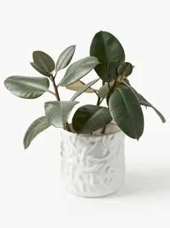 Olla mediana Swoon - Blanco brillante