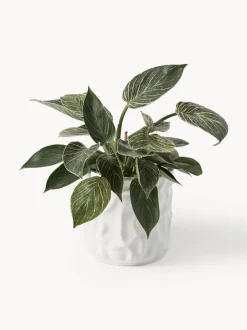 Olla pequeña Swoon - Blanco brillante