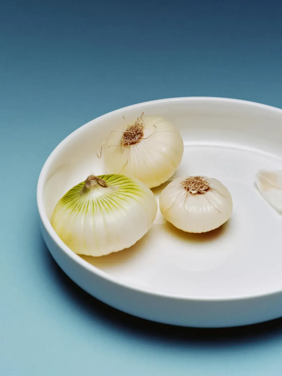 Platos hondos de porcelana Nessa, 4 uds.