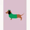 Póster Dachshund