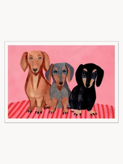 Póster Dachshunds