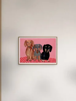 Póster Dachshunds