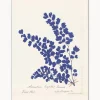 Póster enmarcado Botanical Fern III Blue