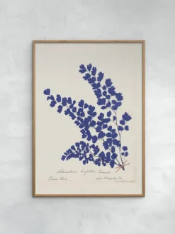 Póster enmarcado Botanical Fern III Blue