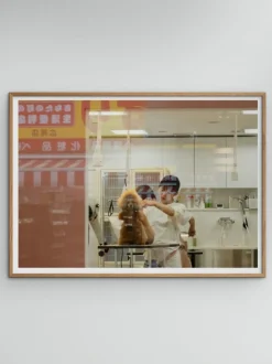 Póster Salon