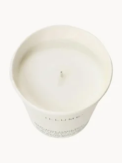 Recambio de vela perfumada Refill (agujas de pino, canela y musgo de roble)
