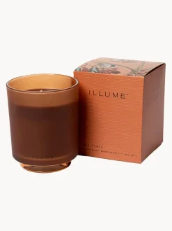 Recambio de vela perfumada Refill (almizcle de cachemira, hoja de tabaco y naranja)
