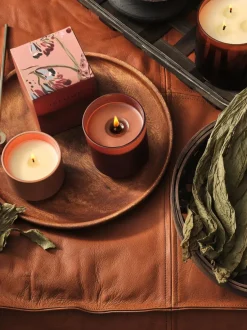 Recambio de vela perfumada Refill (almizcle de cachemira, hoja de tabaco y naranja)