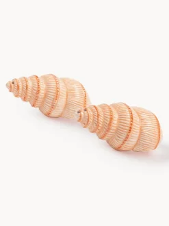 Salero y pimentero artesanales de dolomita Shell, 2 uds.