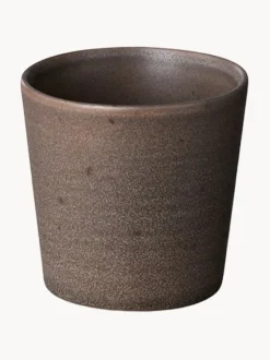 Taza Kumi