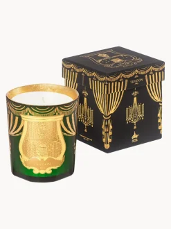 Vela perfumada artesanal Angelo (madera de cachemira, musgo y castaño glaseado)