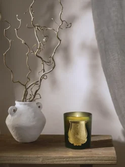 Vela perfumada artesanal Cyrnos (higo negro, madera de cedro, lavanda & pino)