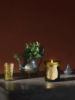 Vela perfumada artesanal Cyrnos (higo negro, madera de cedro, lavanda & pino)