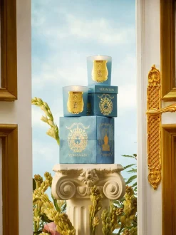 Vela perfumada artesanal de cinco mechas Versailles (romero, tilo, tuberosa)
