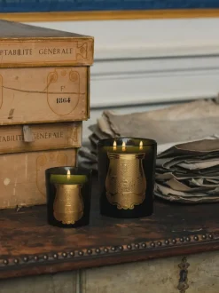 Vela perfumada artesanal de tres mechas Cyrnos (higo negro, cedro, lavanda, pino)