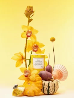 Vela perfumada artesanal Leo (rosa, sándalo y cedro)