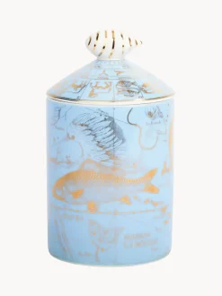 Vela perfumada artesanal Piscis (monoi y sal marina)