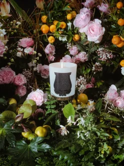 Vela perfumada artesanal Rose Poivrée (ámbar, palmarosa, rosa)
