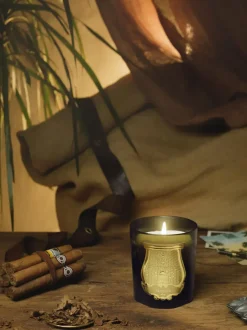 Vela perfumada artesanal Solis Rex (corteza de abeto)