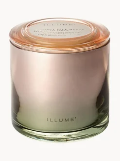 Vela perfumada de tres mechas Statement (coco, mango y vainilla de Tahití)