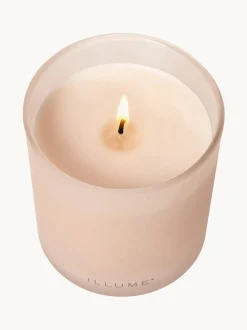 Vela perfumada Refill (coco, mango & vainilla de Tahití)