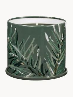 Vela perfumada Vanity Tin (agujas de pino, canela y musgo de roble)