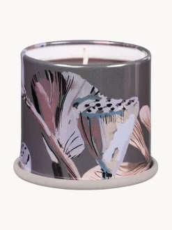 Vela perfumada Vanity Tin (madera de cedro, gamuza & ámbar)